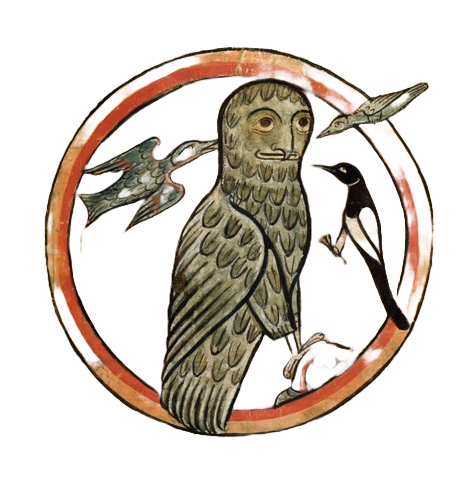 Medieval illumination of an owl being pecked by three smaller birds
