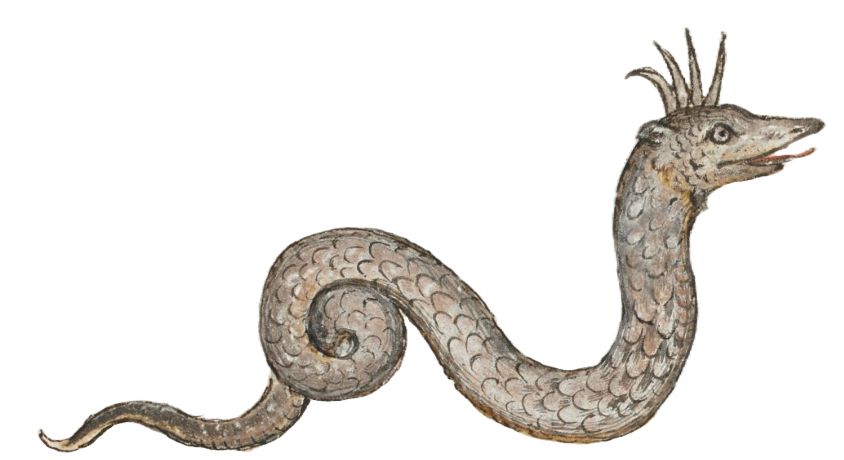 Medieval snake drawing