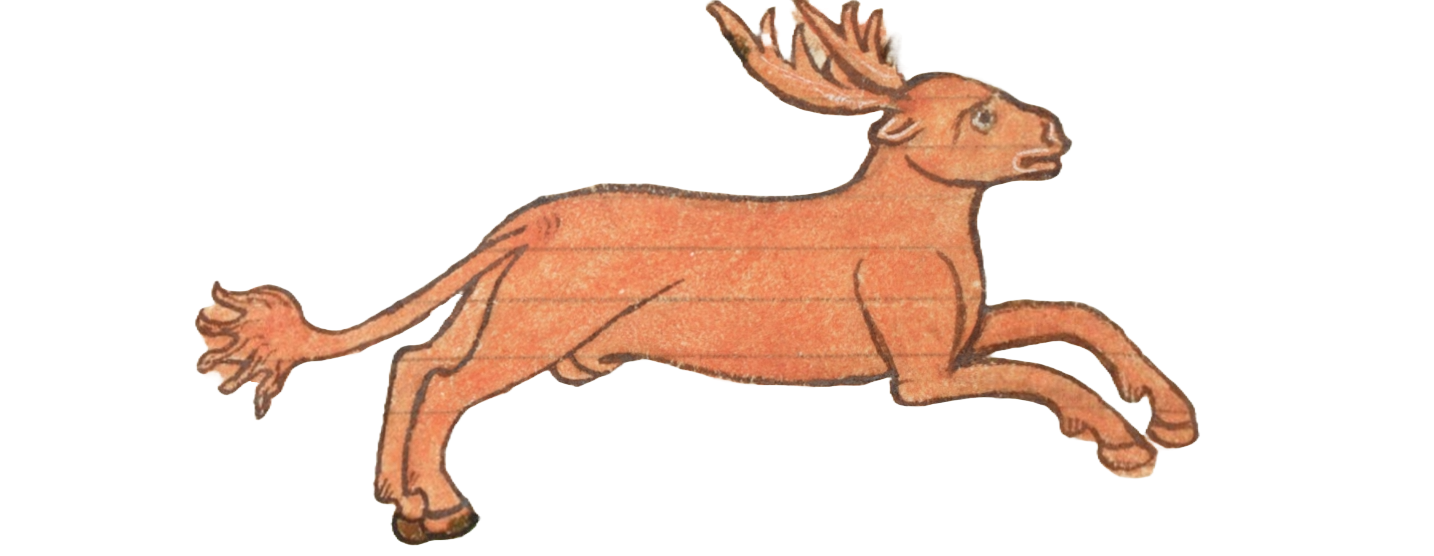 Medieval illumination of a red deer or elk