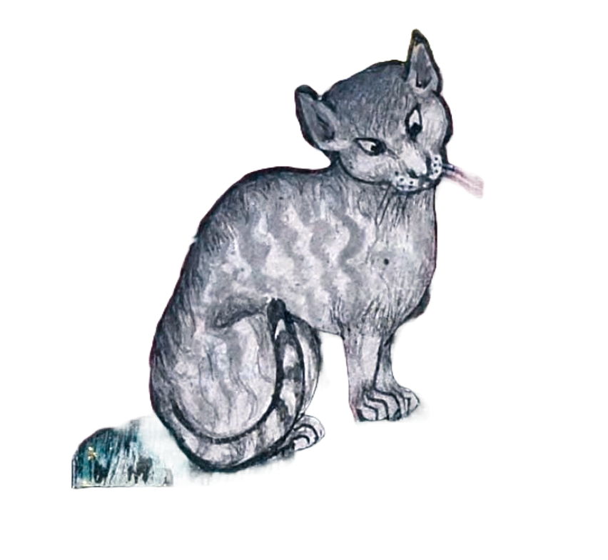 Medieval illumination of a gray striped cat