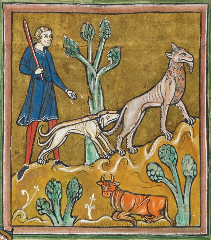 Medieval illumination of a farmer holding two dogs sniffing out a lion, with a cow resting at the bottom of a hill