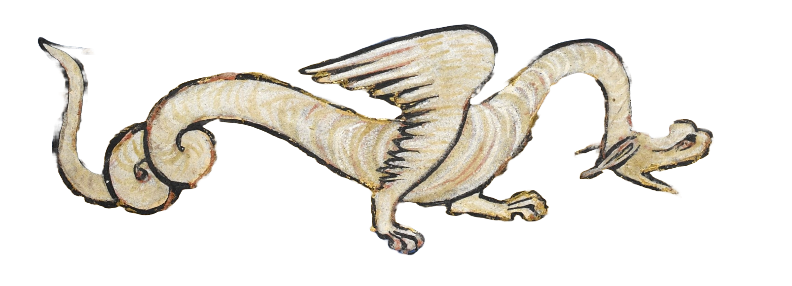 Medieval illumination of a snakelike white dragon with wings and an open mouth