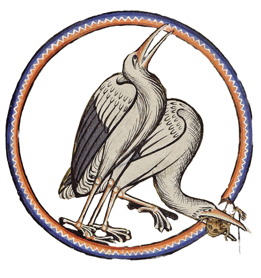 Medieval illumination of two storks, one with a fog in its beak