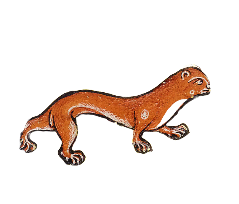 Medieval illumination of a red weasel