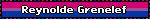 Blinkie with bisexual flag background overlaid with text reading 'Reynolde Grenelef'